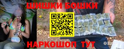 индика Шахты